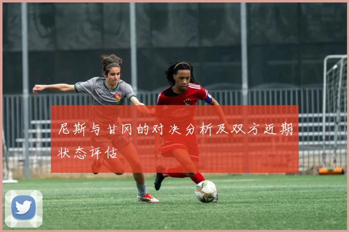 尼斯与甘冈的对决分析及双方近期状态评估
