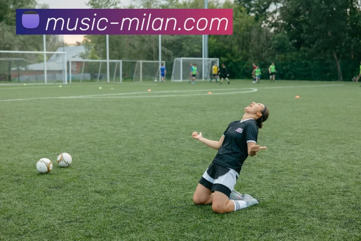 米兰官网平台生态图